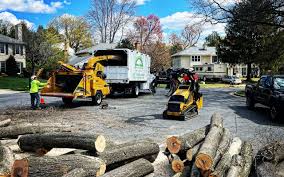 Best Commercial Tree Services  in Marshall, IL
